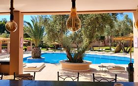 La Maison Des Oliviers